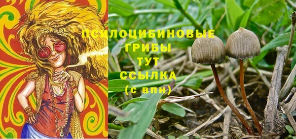 сатива Армянск
