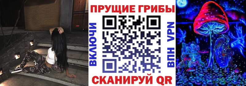 наркотики Исилькуль блэк спрут как войти Псилоцибиновые грибы Cubensis