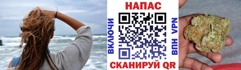 Каннабис Bruce Banner  где продают   Исилькуль 